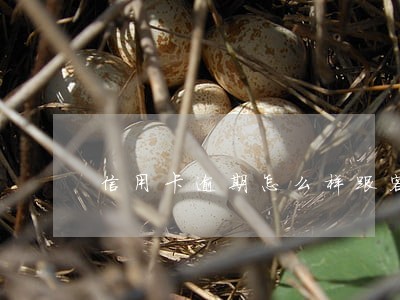 信用卡逾期怎么样跟客户协商招商 信用卡逾期怎么样跟客户协商招商