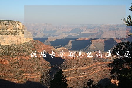 信用卡逾期怎么沟通只还本金