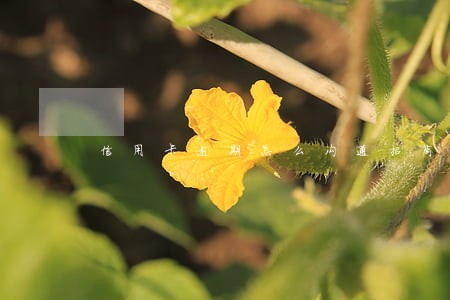 信用卡逾期怎么沟通招商 信用卡逾期怎么沟通招商