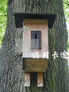 信用卡逾期怎么没人打电话 信用卡逾期怎么没人打电话