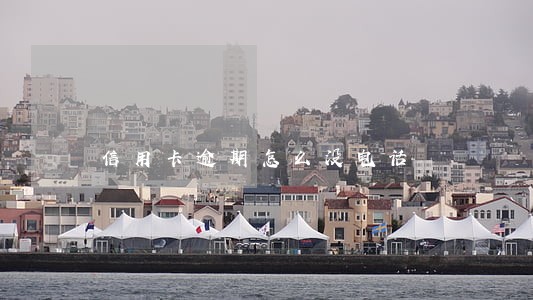 信用卡逾期怎么没电话 信用卡逾期怎么没电话