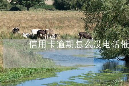 信用卡逾期怎么没电话催 信用卡逾期怎么没电话催