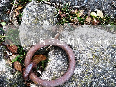 信用卡逾期怎么消信用 信用卡逾期怎么消信用