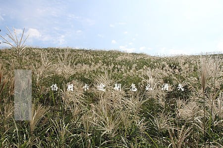 信用卡逾期怎么消失 信用卡逾期怎么消失