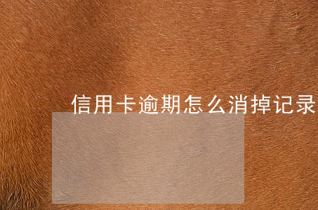 信用卡逾期怎么消掉记录 信用卡逾期怎么消掉记录