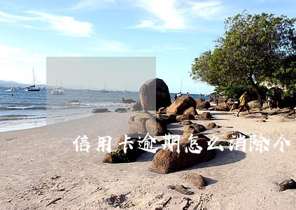 信用卡逾期怎么消除个人征信