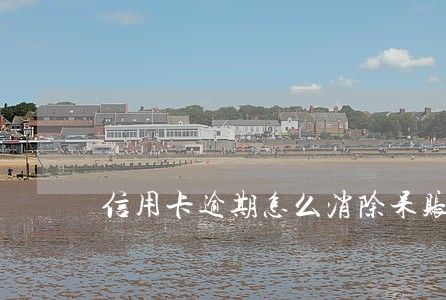 信用卡逾期怎么消除呆账记录