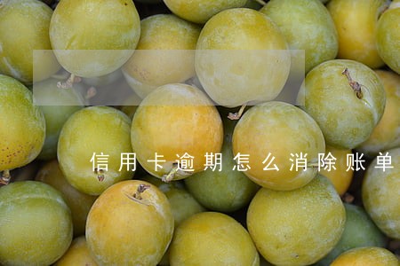 信用卡逾期怎么消除账单