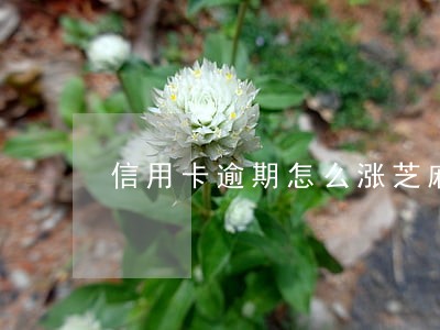 信用卡逾期怎么涨芝麻分 信用卡逾期怎么涨芝麻分