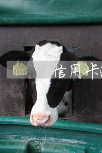 信用卡逾期怎么清理 信用卡逾期怎么清理