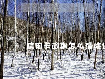 信用卡逾期怎么清除记录查询 信用卡逾期怎么清除记录查询