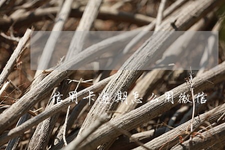 信用卡逾期怎么用微信 信用卡逾期怎么用微信