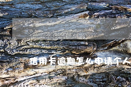 信用卡逾期怎么申请个人征信 信用卡逾期怎么申请个人征信