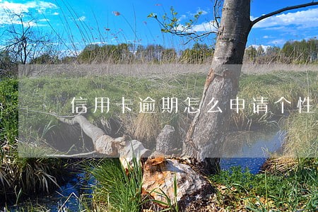 信用卡逾期怎么申请个性分期 信用卡逾期怎么申请个性分期