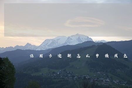 信用卡逾期怎么申请减免