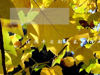 信用卡逾期怎么申请减息 信用卡逾期怎么申请减息