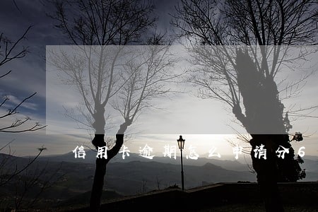 信用卡逾期怎么申请分60期 信用卡逾期怎么申请分60期