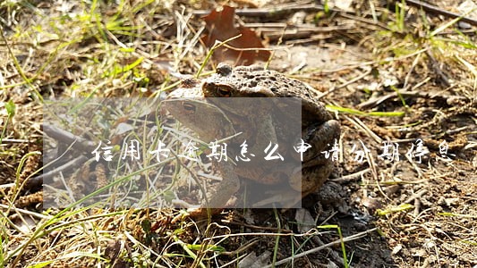 信用卡逾期怎么申请分期停息 信用卡逾期怎么申请分期停息