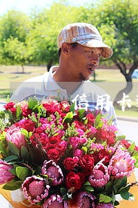 信用卡逾期怎么申请取消利息 信用卡逾期怎么申请取消利息