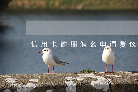 信用卡逾期怎么申请复议 信用卡逾期怎么申请复议