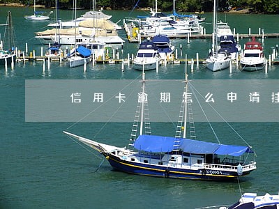 信用卡逾期怎么申请挂账停息 信用卡逾期怎么申请挂账停息