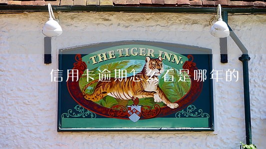 信用卡逾期怎么看是哪年的