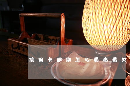 信用卡逾期怎么看查看欠款 信用卡逾期怎么看查看欠款