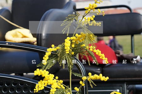 信用卡逾期怎么看被起诉了没 信用卡逾期怎么看被起诉了没