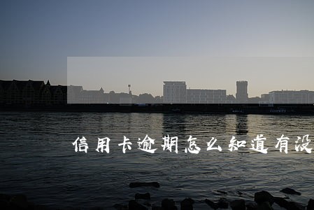 信用卡逾期怎么知道有没有立案 信用卡逾期怎么知道有没有立案