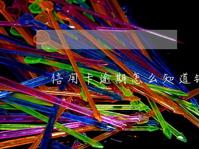 信用卡逾期怎么知道银行立案了