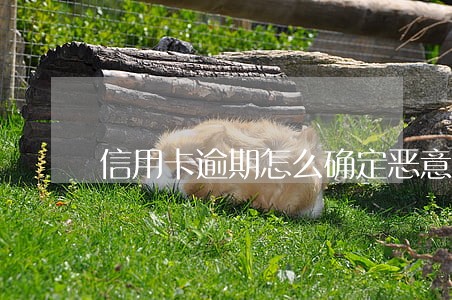 信用卡逾期怎么确定恶意透支 信用卡逾期怎么确定恶意透支