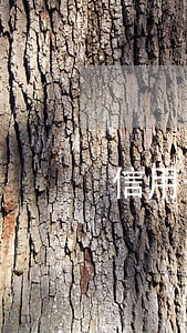 信用卡逾期怎么签字 信用卡逾期怎么签字