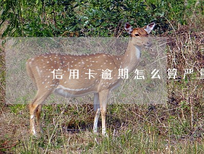 信用卡逾期怎么算严重 信用卡逾期怎么算严重