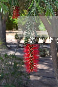 信用卡逾期怎么算年利率 信用卡逾期怎么算年利率