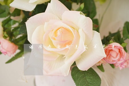 信用卡逾期怎么算恶意 信用卡逾期怎么算恶意