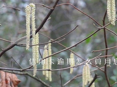 信用卡逾期怎么算月息 信用卡逾期怎么算月息