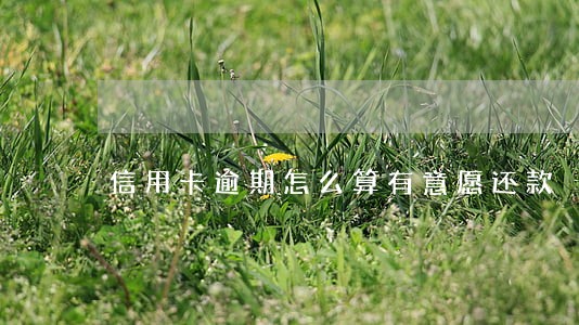 信用卡逾期怎么算有意愿还款