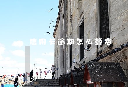 信用卡逾期怎么算费 信用卡逾期怎么算费