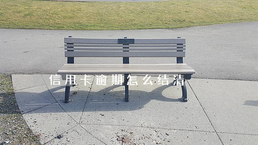 信用卡逾期怎么结清