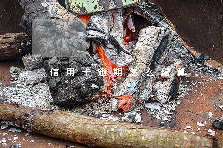 信用卡逾期怎么结算 信用卡逾期怎么结算