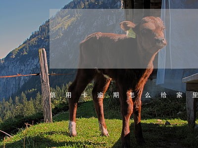 信用卡逾期怎么给家里说 信用卡逾期怎么给家里说