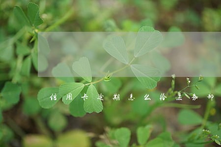 信用卡逾期怎么给法务部说延长