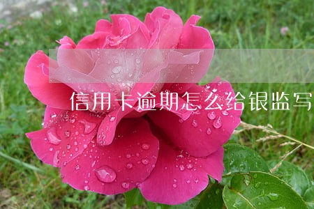 信用卡逾期怎么给银监写信 信用卡逾期怎么给银监写信