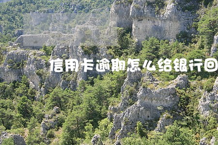 信用卡逾期怎么给银行回复 信用卡逾期怎么给银行回复