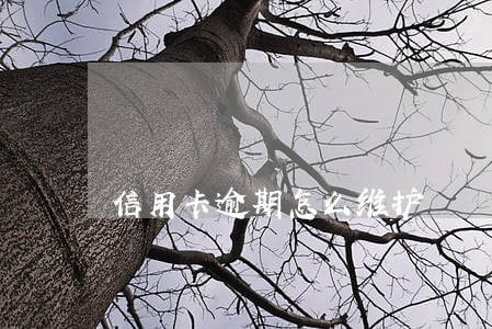 信用卡逾期怎么维护 信用卡逾期怎么维护
