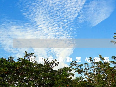 信用卡逾期怎么缴费