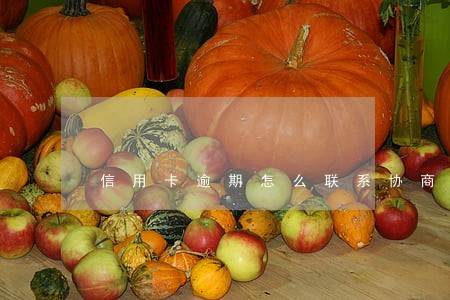 信用卡逾期怎么联系协商 信用卡逾期怎么联系协商