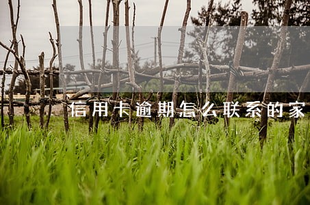 信用卡逾期怎么联系的家人 信用卡逾期怎么联系的家人