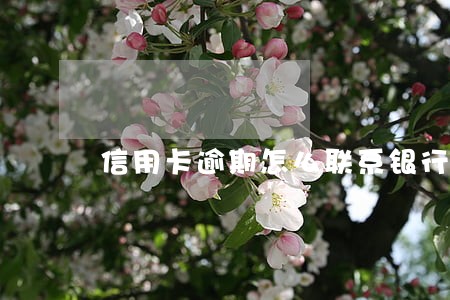 信用卡逾期怎么联系银行人员 信用卡逾期怎么联系银行人员
