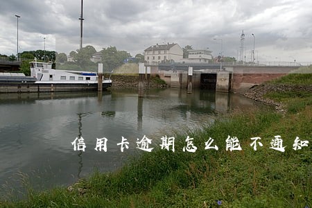信用卡逾期怎么能不通知家人 信用卡逾期怎么能不通知家人